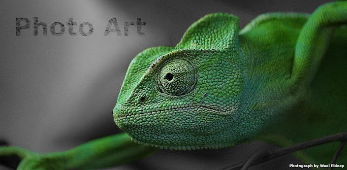 Photo Art